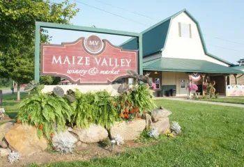 Maize valley