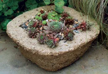 hypertufa planter