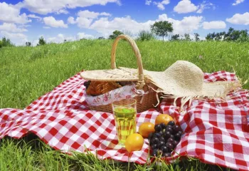 picnic