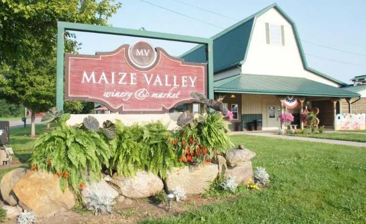 Maize valley