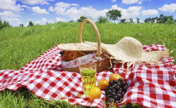 picnic