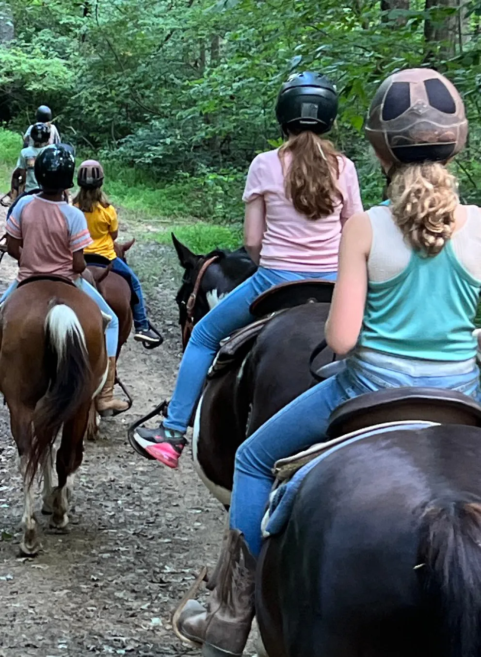 lazy trail ride